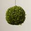 Preserved Greens Topiary, Hedge Plant in-1214296197