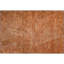 Tapis de qualité supérieure lavable à la machine Lyndhurst AMF991-795094271