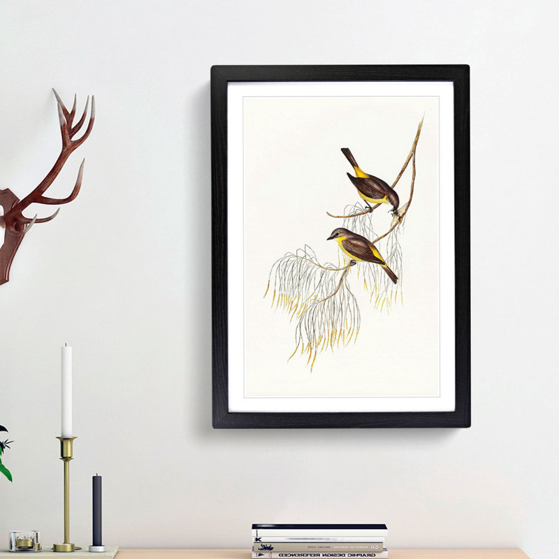 Yellow-Breasted Robins by Elizabeth Gould - Picture Frame Art Print, Black Framed, 48cm H x 36cm W x 2cm D