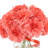 Dahlia Arranged in a Glass Vase