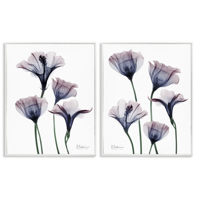 Bountiful Dusk Lilies 2pc Framed Giclee Set, design by Albert Koetsier