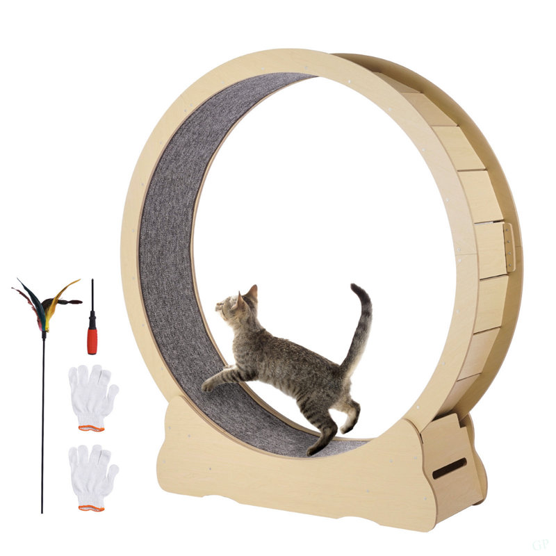 Roue d'exercice pour chat, roue de course à chat en bois de 48 po pour chats d'intérieur jusqu'à 28 lb, tapis roulant avec piste recouverte de tapis et mécanisme de verrouillage, jouets de sport pour animaux de compagnie, chaton silencieux, noir