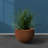 Sifan Pot Planter