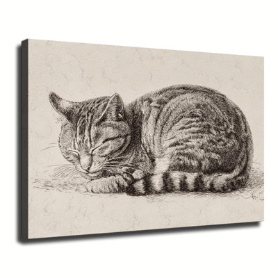 Croquis, dessin d'un chat tigré endormi, grande reproduction d'art sur toile tendue pour salon, chambre à coucher