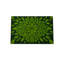 Floral Doormat