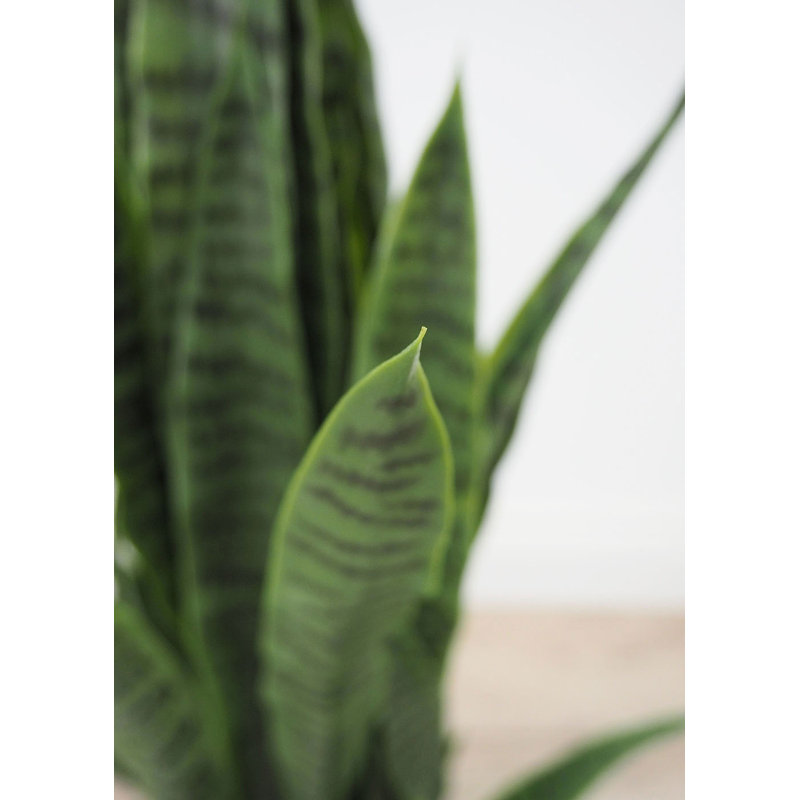 Snake artificiel en pot, H 28 po x l 8 po x p 12 po, Vert
