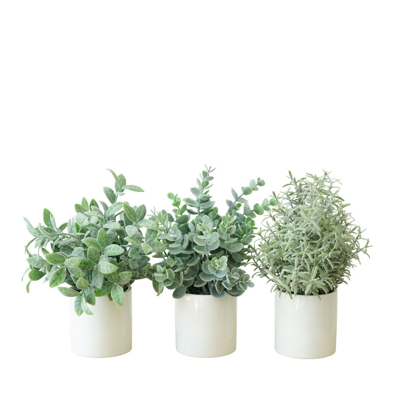 9'' Faux Assorted Succulents in Ceramic Pot