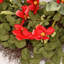 Couronne de porte artificielle 24 po avec fleurs de printemps et fleurs d'eucalyptus