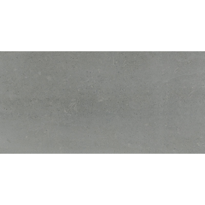 Uptown Hamilton 12 in. x 24 in. Matte Porcelain Floor and Wall Tile (11.63 sq. ft./Case), Hamilton Matte