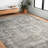 Duda Oriental Indoor Rug-191296517