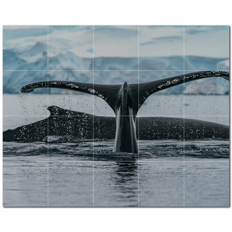 Baleine photo 8 x 8