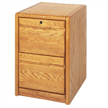 Braunstein 2-Drawer Vertical Filing Cabinet Loon Peak Color: Black Adler