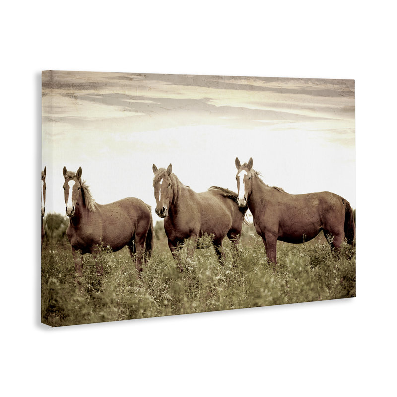 «Horse Trio Gaze», art mural sur toile par Kim Allen, H 16 po x l 24 po