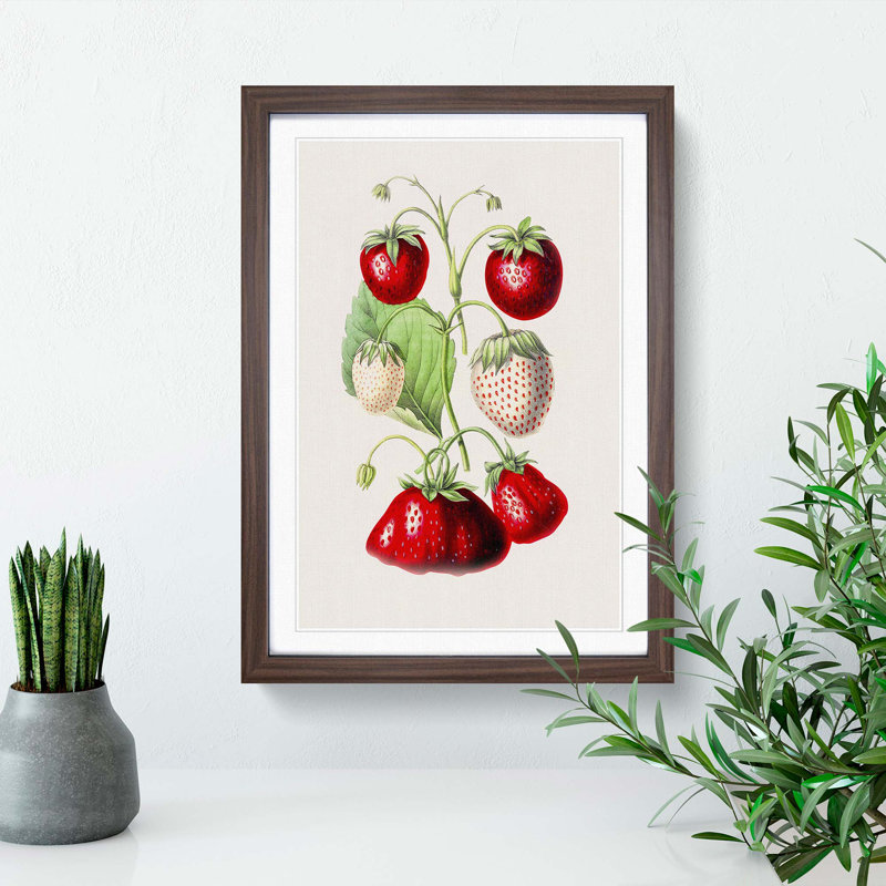 An Illustration Of Strawberries - Single Picture Frame Painting, Walnut Single Picture Frame Wood, 50cm H x 35cm W x 2cm D