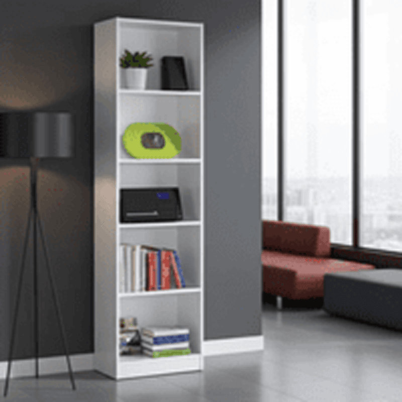 Meziah Standard Bookcase