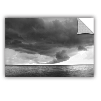 Lake Erie Storm by Dan Wilson  Removable Wall Decal -  ArtWall, 0wil008a1218p