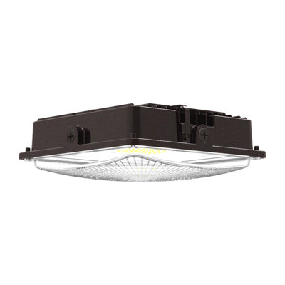Dimmable Square Canopy Light