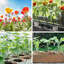Paquet de 24 piquets de plantes décoratifs en métal de 16 pouces, cerceaux de fleurs à tige simple, support de jardin pour roses, tomates et orchidées-2063995351