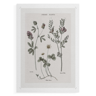 Multi Botanical I - Impression sur toile seulement - NON CADRE