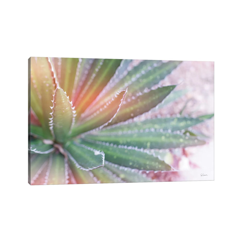 Dream Desert I by Sue Schlabach - Wrapped Canvas Painting, 20.32 cm H x 30.48 cm W