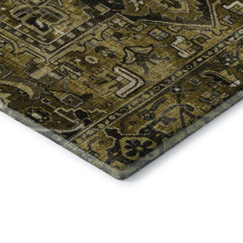 Premium Machine Washable Cerrito AMF570 Brown Rug, Rectangle 9' x 12'