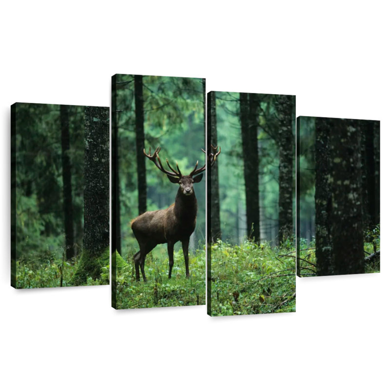 Brampt Elk In Forest, 22" H x 36" W