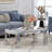 Amla 43" Modern Mirrored Glass Coffee Table