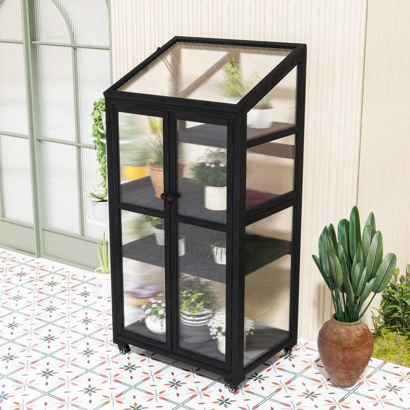 Serre portative en bois avec tablettes réglables, structure froide sur roulettes pour l'intérieur et l'extérieur, Noir