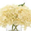 Hydrangea Arrangement In A Clear Glass Vase