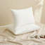 Insert de coussin décoratif décoratif en duvet de plumes avec housse en coton (ensemble de 2)-102250140-132521331
