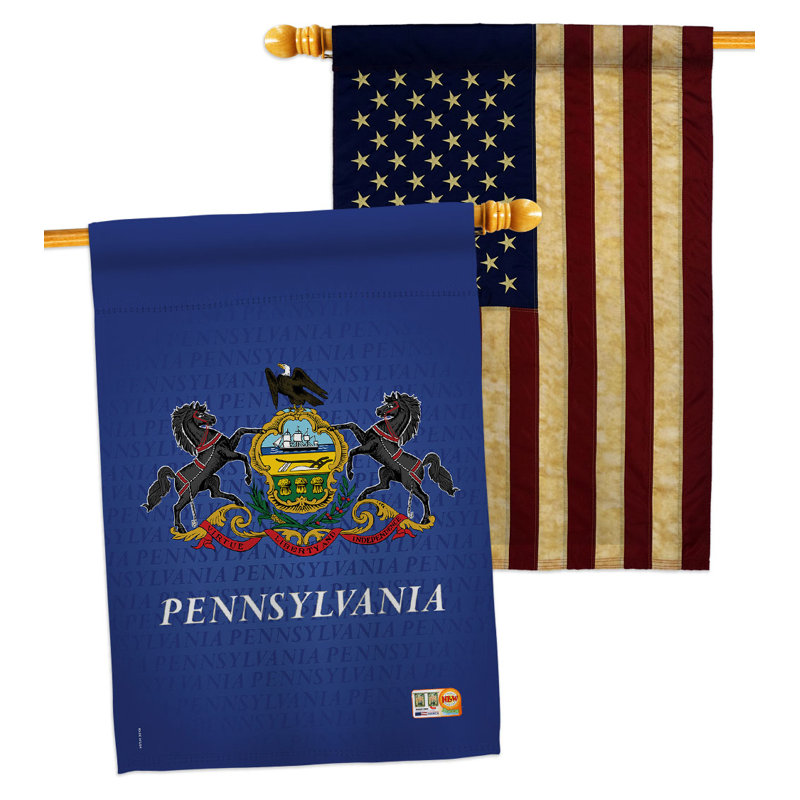 Double Sided 40 in. H x 28 in. W Polyester House Flag