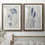 «Indigo Botanical I», ensemble de 2 reproductions d'impressions-291994794-291994799-354319580