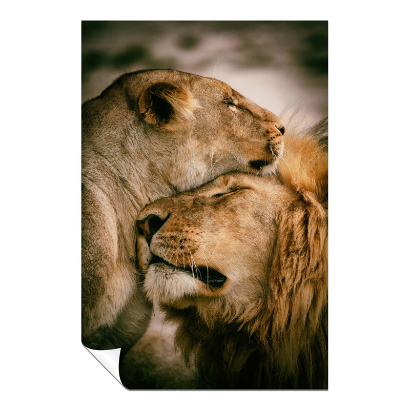 Panther Print Fine Art Prints - No Frame Print, 31cm H x 20cm W