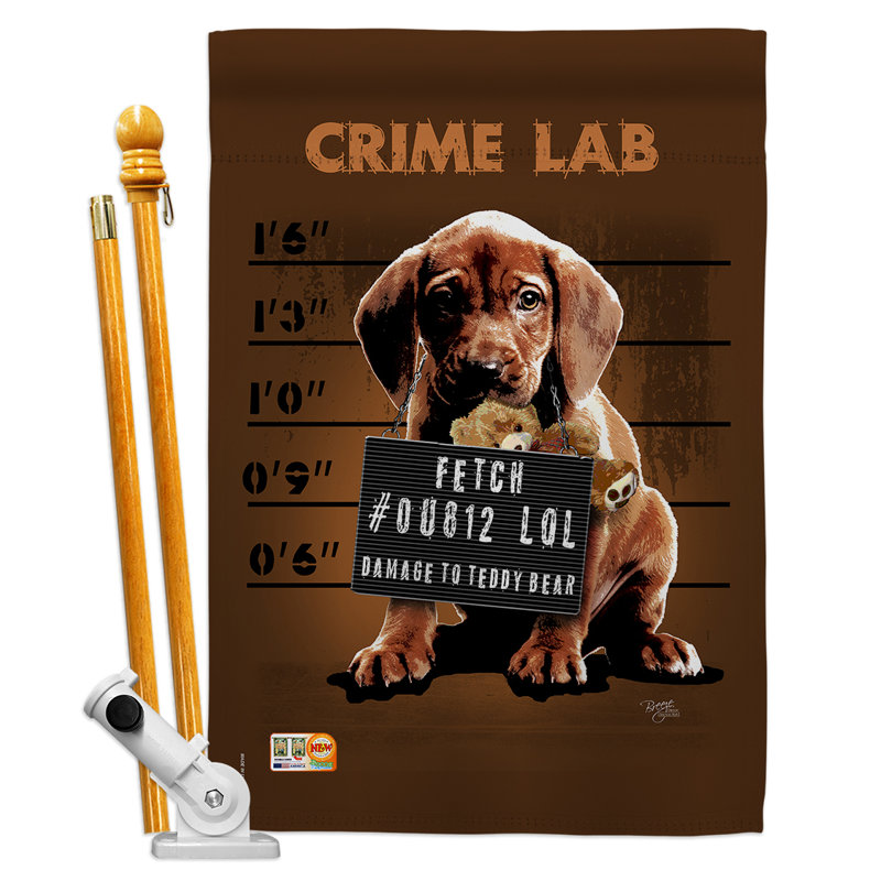 40 x 28 po en polyester crime lab 2 côtés ensemble de drapeau