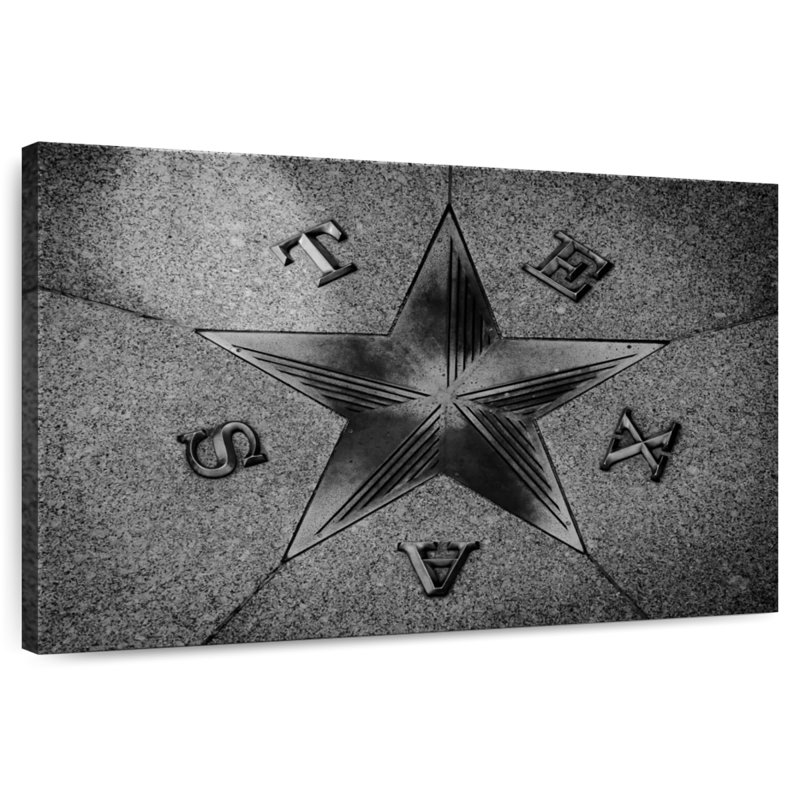 Nicci Texas Black Star, H 20 po x l 30 po