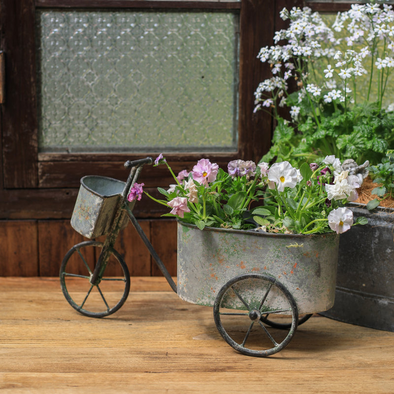 Boîte à fleurs Brouette