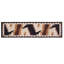 Tapis brun / ivoire Colacchio-1833439722