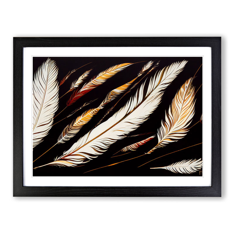 Bird Feathers - Single Picture Frame Print, Black Framed, 25cm H x 34cm W x 2cm D