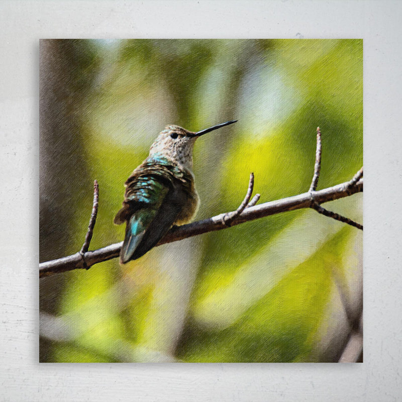 Colibri vert et bleu sur une branche d'arbre brun - impression d'art graphique rectangulaire sur toile tendue