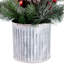 12 plantes