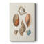Knorr Shells & Coral I sur impression sur toile-1684294305