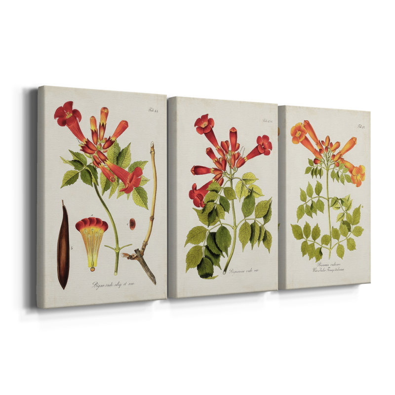 Tropical Trumpet Flowers I - Toile tendue avec châssis sur mesure - 3 pièces, H 36 po x l 72 po