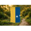 Drapeau de Durham City - drapeau extérieur-561569791