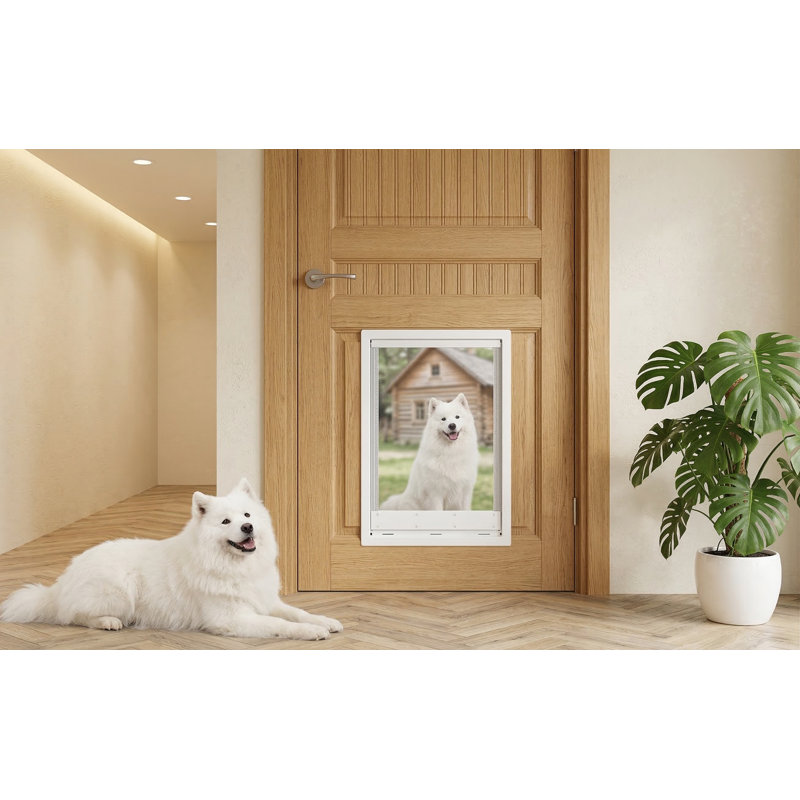 Rideau d'accès pour animaux de compagnie avec rideau magnétique transparent à fermeture en douceur et panneau de fermeture à pince, en PVC de qualité supérieure, pour petits chiens et chats