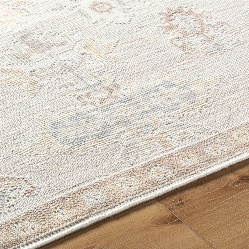 Tapis oriental noué à la main intérieur / extérieur beige / brun / gris clair, Rectangle 8 pi 10 po x 12 pi
