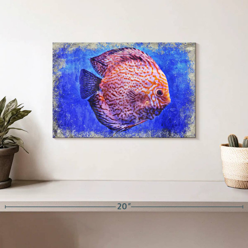 Pigeon sang discus