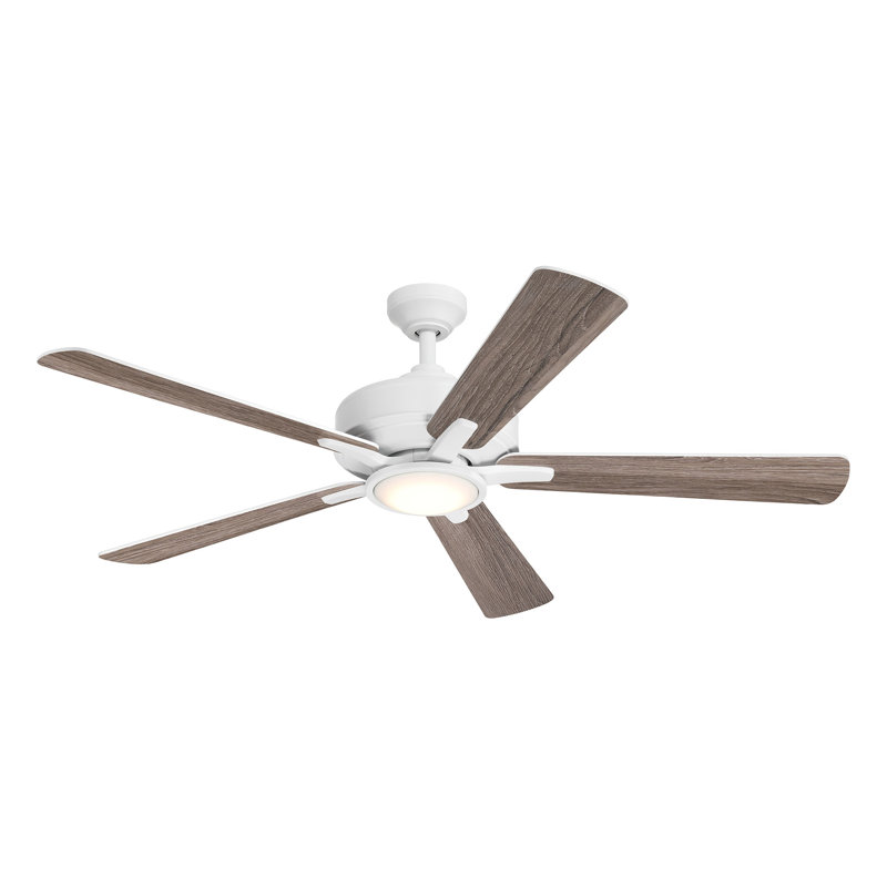 Ventilateur de plafond DEL d'intérieur Frio , Blanc mat