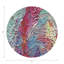 Paint Brights Vegan Leather Round Coasters