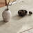 Matte rock plate semi-oval dining table set-106220319