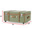 Texture Brand Trunk